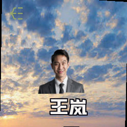 王岚